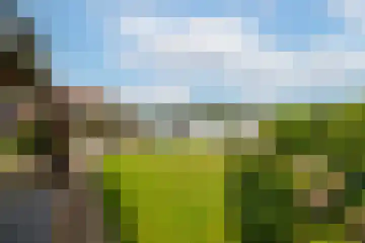 Veense Put 126 Veen thumbnail 9