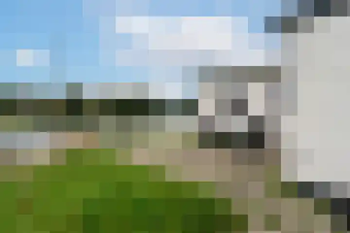Veense Put 15 a Veen thumbnail 18