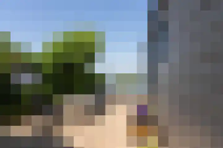 Veense Put 74 Veen thumbnail 18