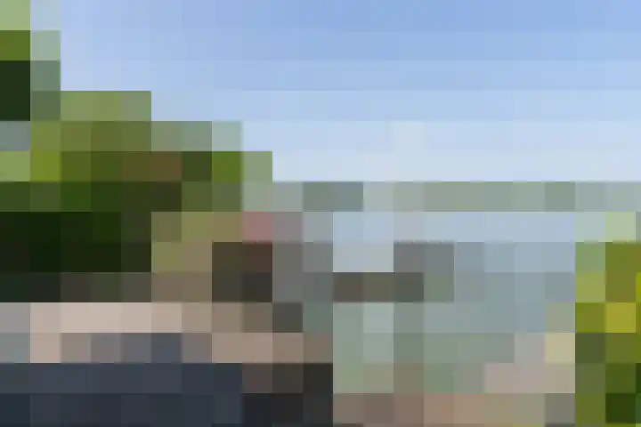 Veense Put 74 Veen thumbnail 20