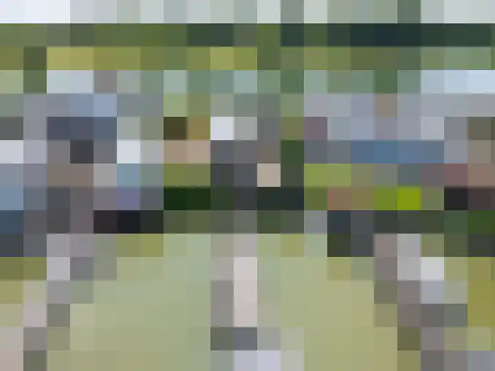 Veense Put 74 Veen foto 3