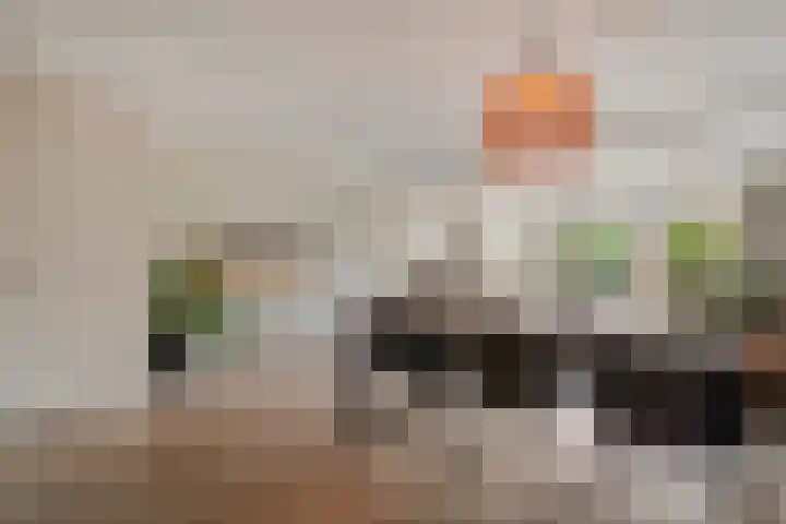 Veentien 30 Meppel thumbnail 8
