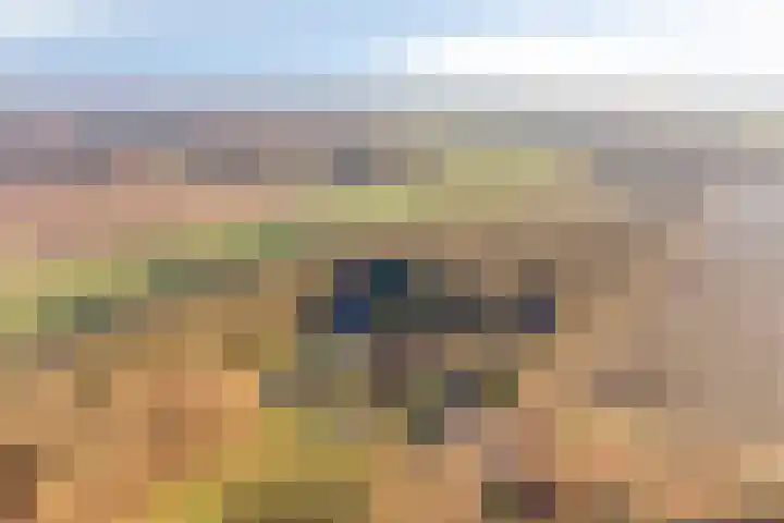 Veenweg 14 Westerlee thumbnail 10