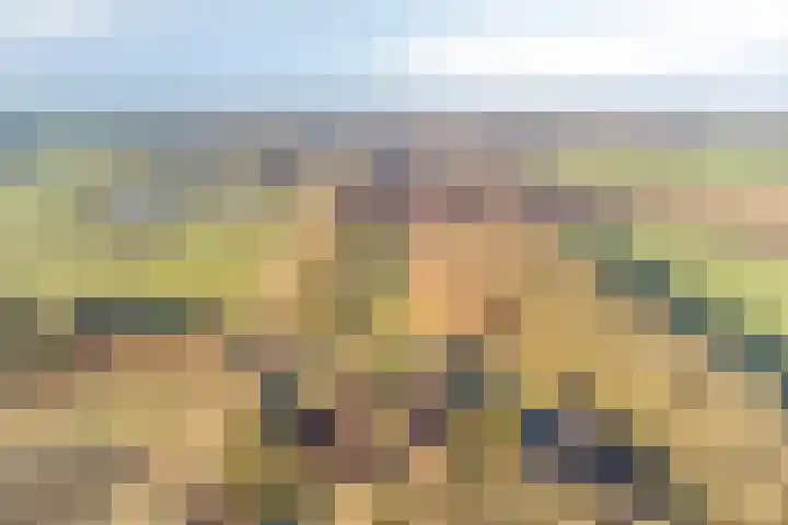 Veenweg 14 Westerlee thumbnail 11
