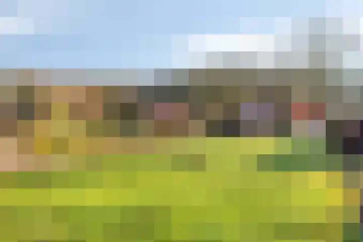 Veenweg 14 Westerlee thumbnail 12