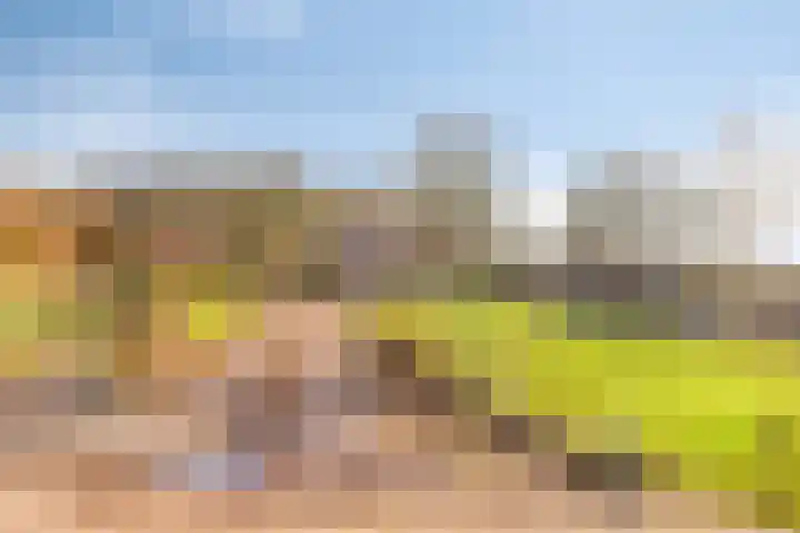 Veenweg 14 Westerlee thumbnail 13