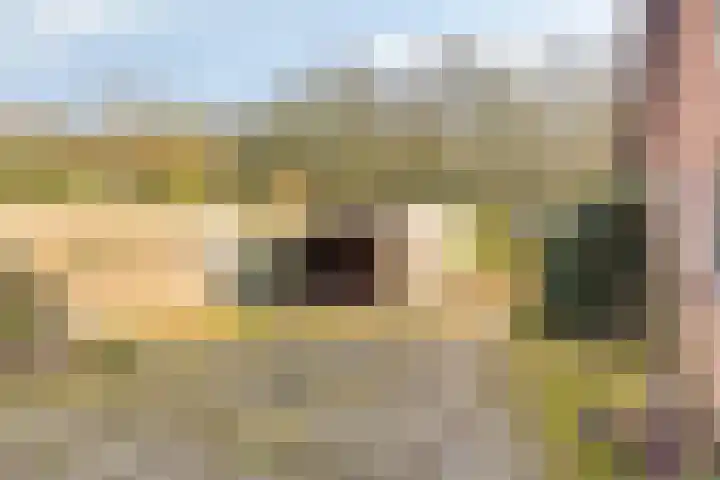 Veenweg 14 Westerlee thumbnail 41