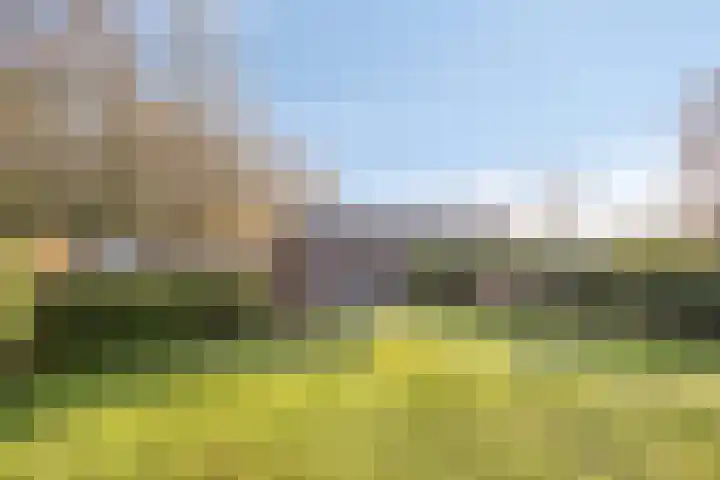 Veenweg 14 Westerlee thumbnail 43