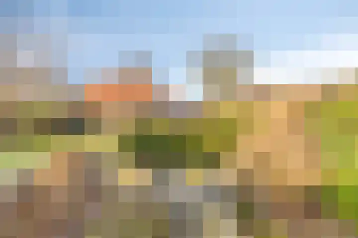 Veenweg 14 Westerlee thumbnail 45