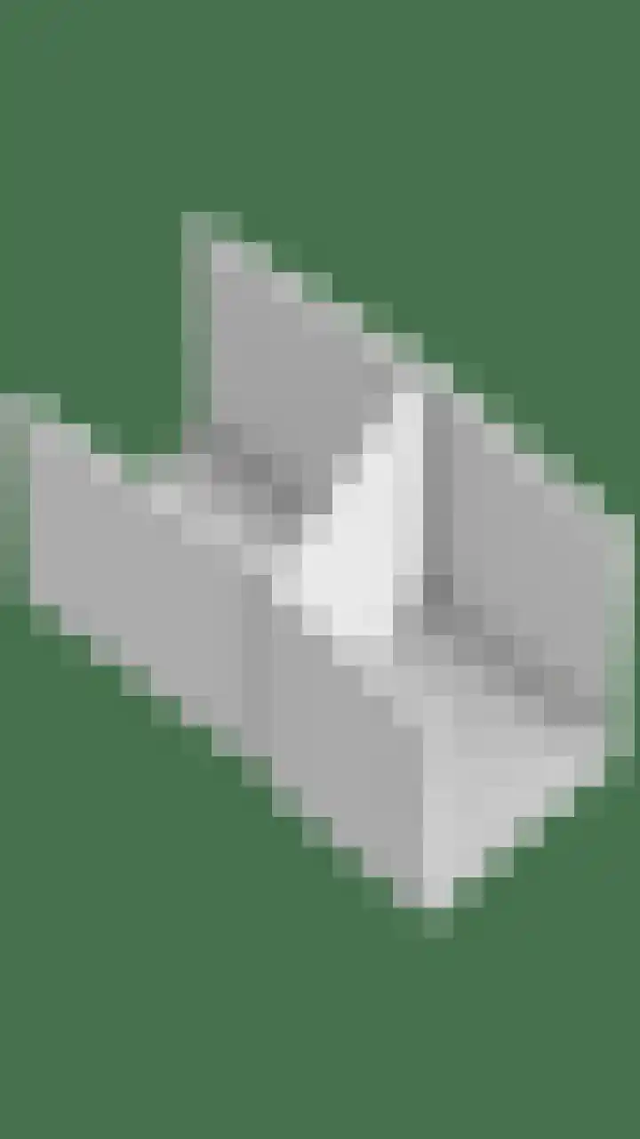 Veenweg 14 Westerlee thumbnail 58