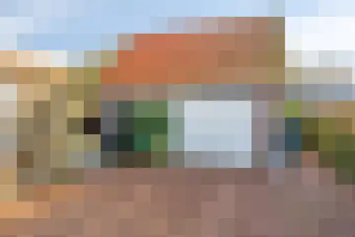 Veenweg 14 Westerlee thumbnail 6
