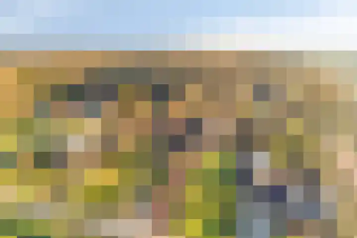Veenweg 14 Westerlee thumbnail 7