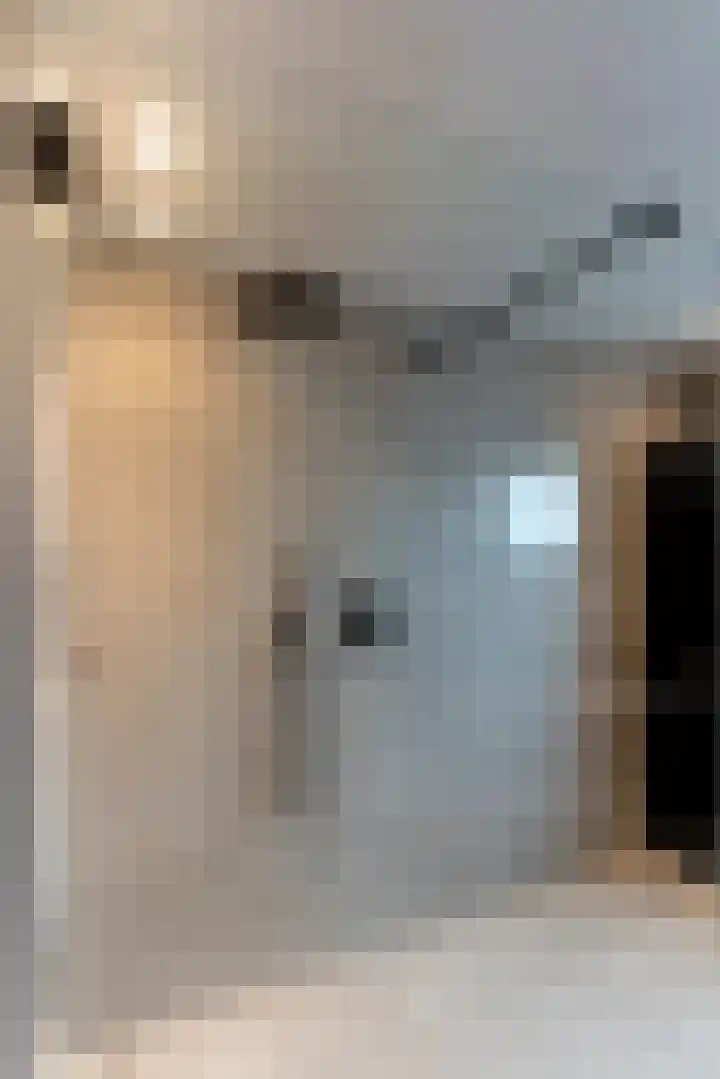Veenweg 5 Beek thumbnail 19