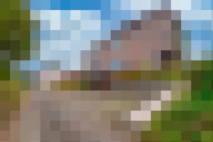 Veenweg 5 Beek thumbnail 37