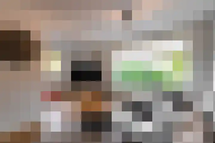 Veenweg 5 Beek thumbnail 4