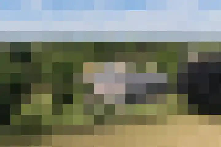 Veenweg 8 dans Drempt