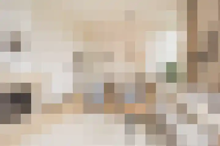 Veenweg 8 Drempt thumbnail 17