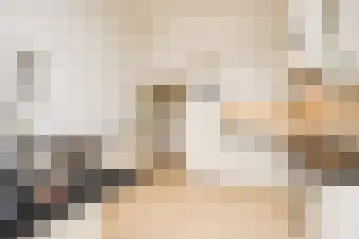 Veenweg 8 Drempt thumbnail 22
