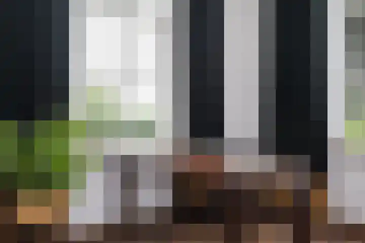 Veenweg 8 Drempt thumbnail 24