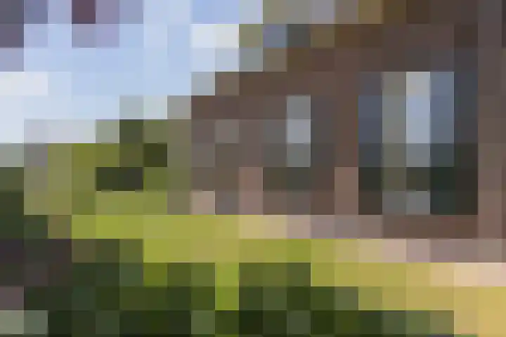 Veenweg 8 Drempt thumbnail 4