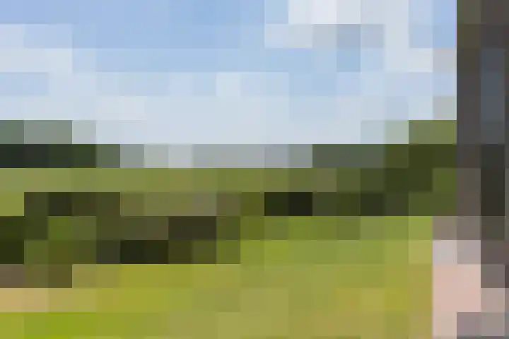 Veenweg 8 Drempt thumbnail 5
