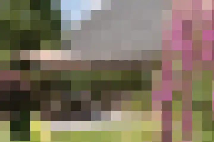 Veenweg 8 Drempt thumbnail 52