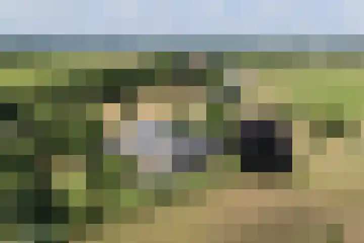 Veenweg 8 Drempt thumbnail 59