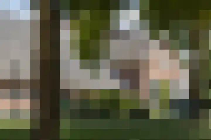 Veenweg 8 Drempt thumbnail 6