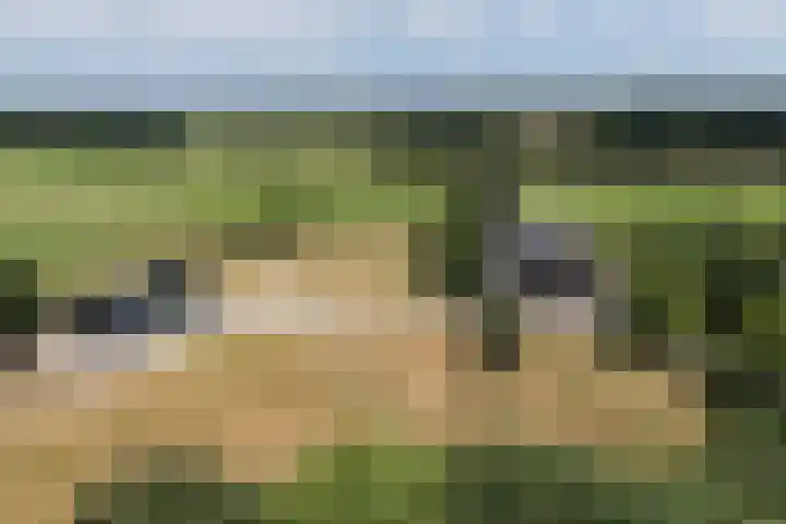 Veenweg 8 Drempt thumbnail 60