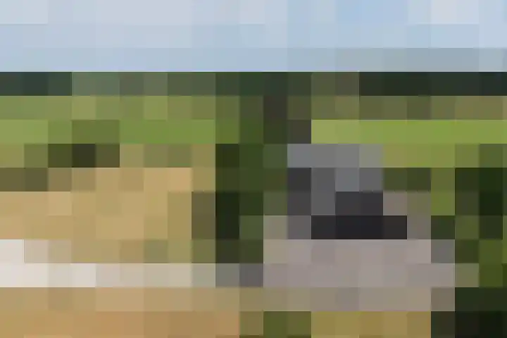 Veenweg 8 Drempt thumbnail 61