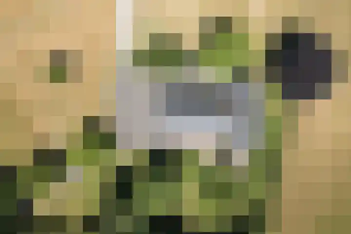Veenweg 8 Drempt thumbnail 64