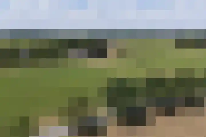 Veenweg 8 Drempt thumbnail 65