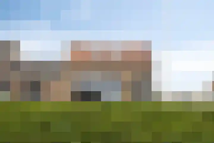 Veer 41 Zaamslag