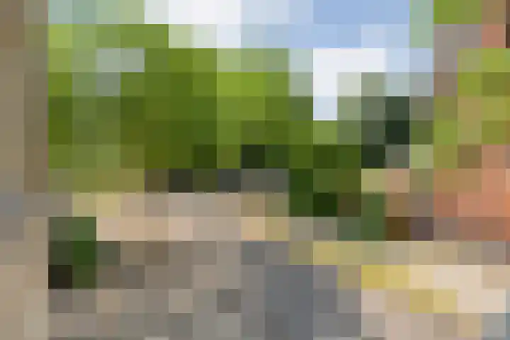 Veerallee 60 B Zwolle thumbnail 25