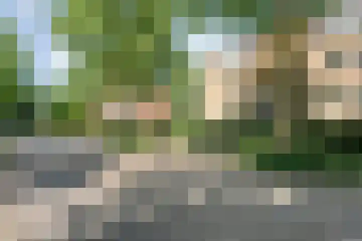 Veerallee 60 B Zwolle thumbnail 38