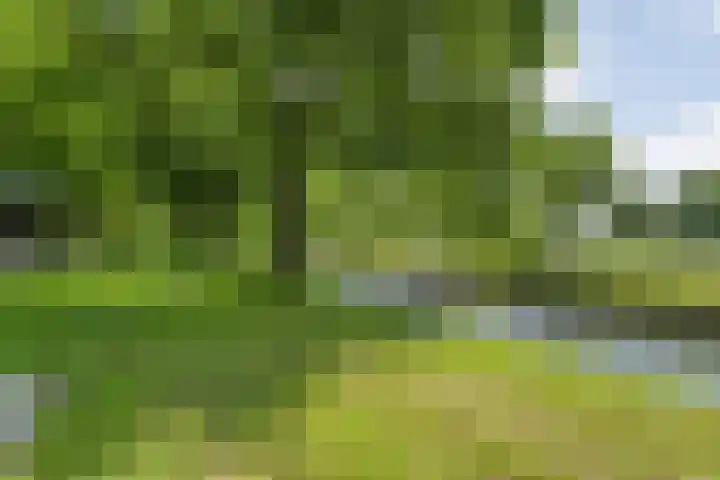 Veerallee 60 B Zwolle thumbnail 40