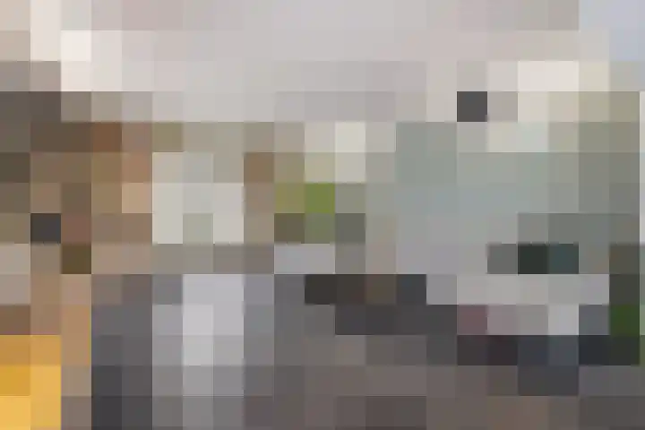 Veerdonk 5 Breda thumbnail 14