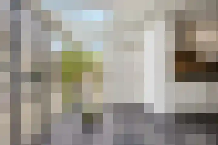 Veerdonk 5 Breda thumbnail 19