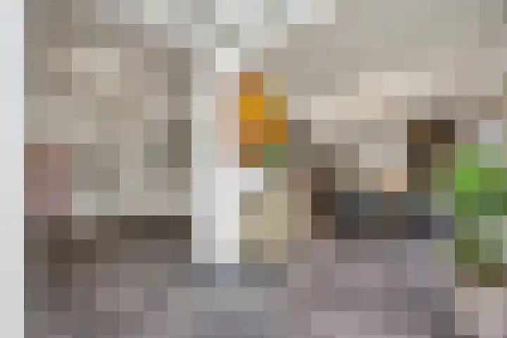 Veerdonk 5 Breda thumbnail 20