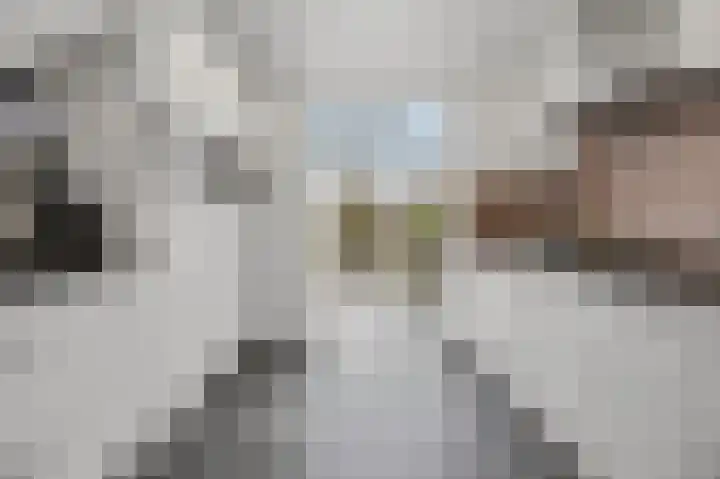 Veerdonk 5 Breda thumbnail 23