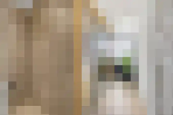 Veerdonk 5 Breda thumbnail 24