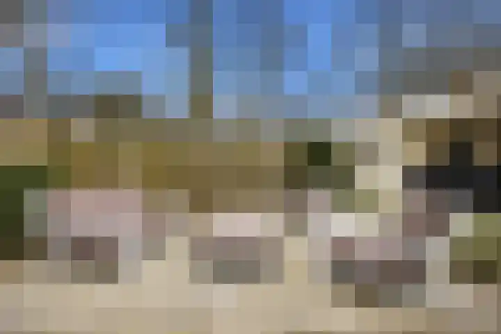Veerdonk 5 Breda thumbnail 32