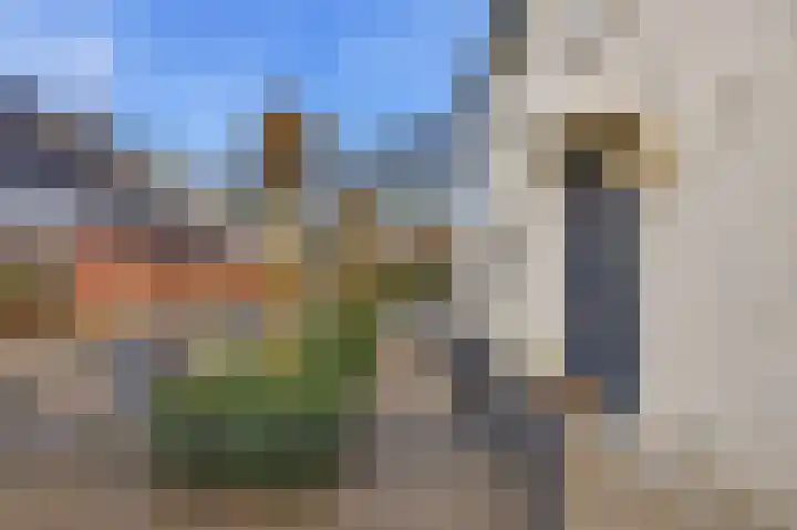 Veerdonk 5 Breda thumbnail 6