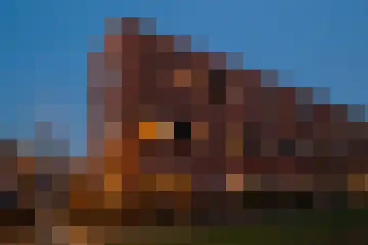 Veerispad 1 Deventer