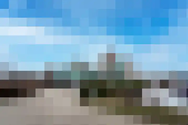 Veerpolder 1 025 Warmond thumbnail 25