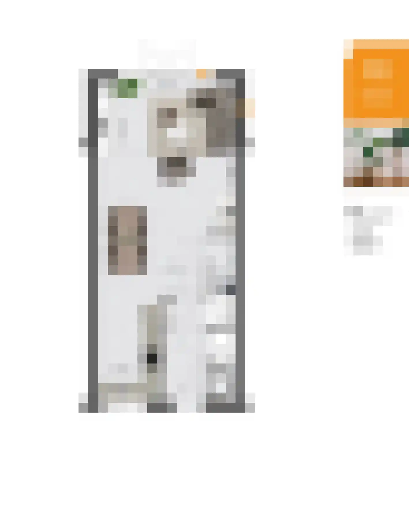Veersteeg 29 Kerkdriel thumbnail 8
