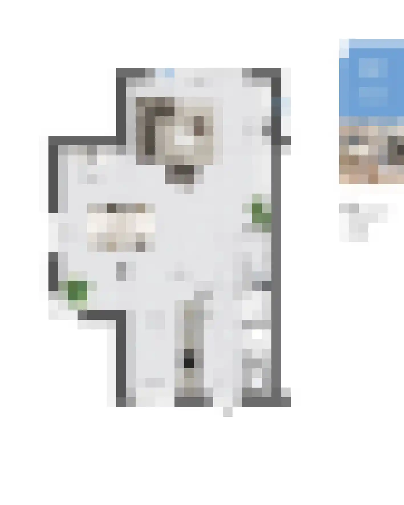 Veersteeg 31 Kerkdriel thumbnail 14