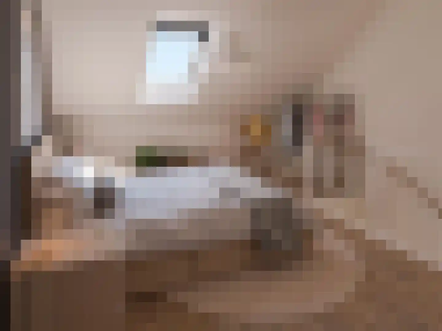Veersteeg 7 Kerkdriel thumbnail 4