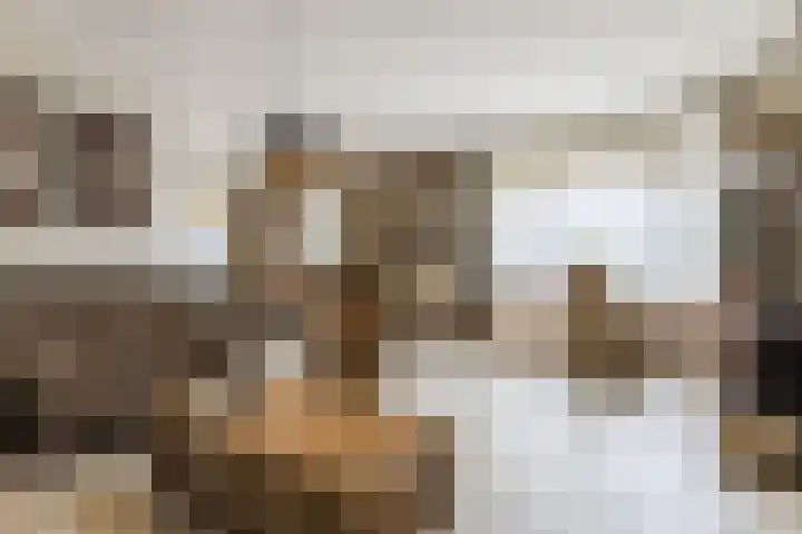 Veerstraat 40 Erp thumbnail 10