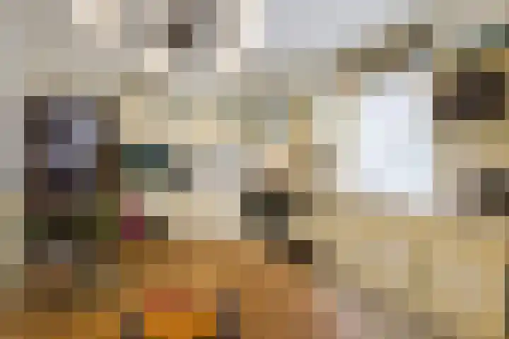 Veerstraat 40 Erp thumbnail 13